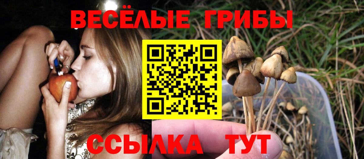 Баксан  Псилоцибиновые грибы мухоморы  Вход с VPN 